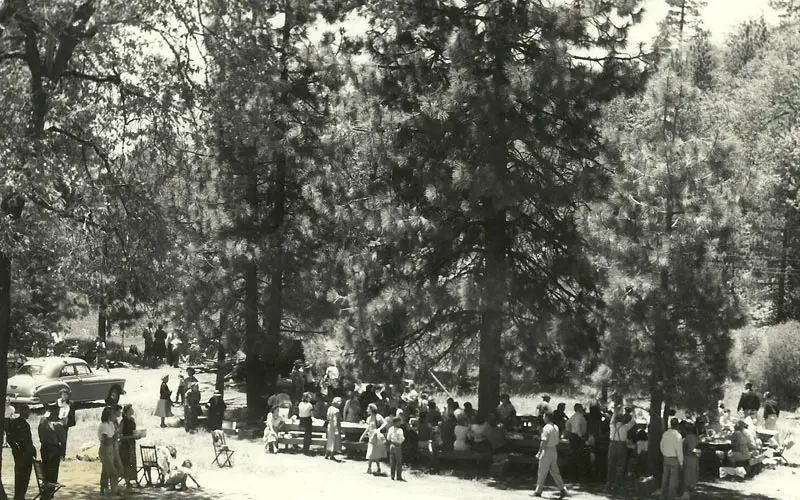 A black and white photograph of a crowd gathered among tall pines at a mountain camp, with cars from the 1940s parked alongside