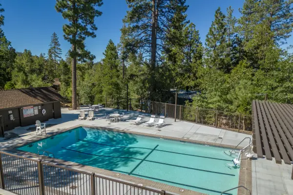 The blue swimming pool at Tahquitz Pines Retreat seen from above, loungers and tables on the deck under tall pines