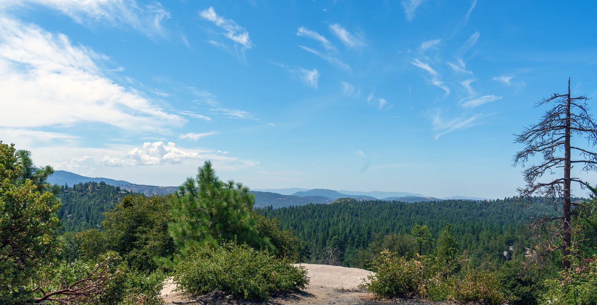 Pine-covered ridges rolling to the horizon under a blue sky near Idyllwild, a granite outcrop and young pines in the foreground